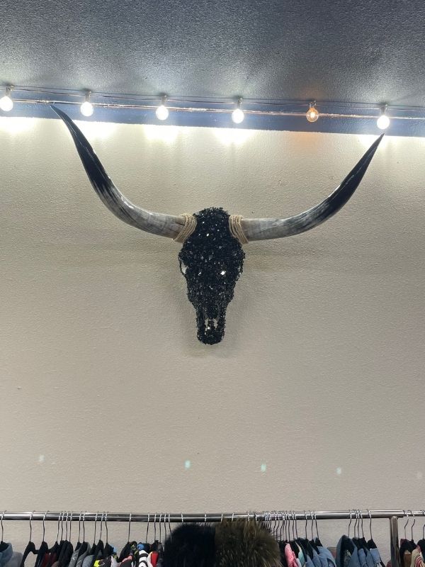 Black Embellished Cow Skull