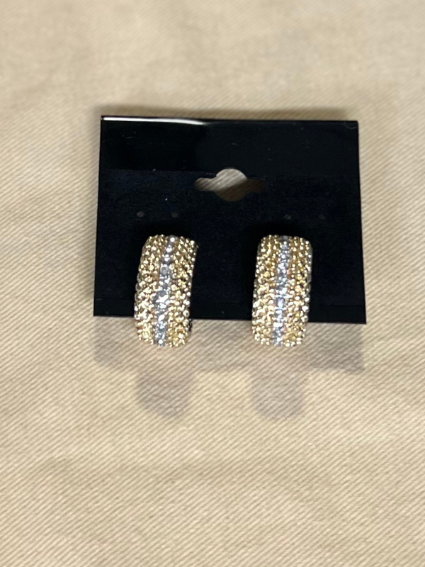 Gold and Silver Hoop Earring